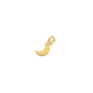Charm luna con zircone