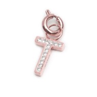 Bracciali con charm Bracciali con charm