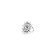 Anello sole Anello sole