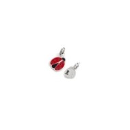 Charm coccinella Charm coccinella