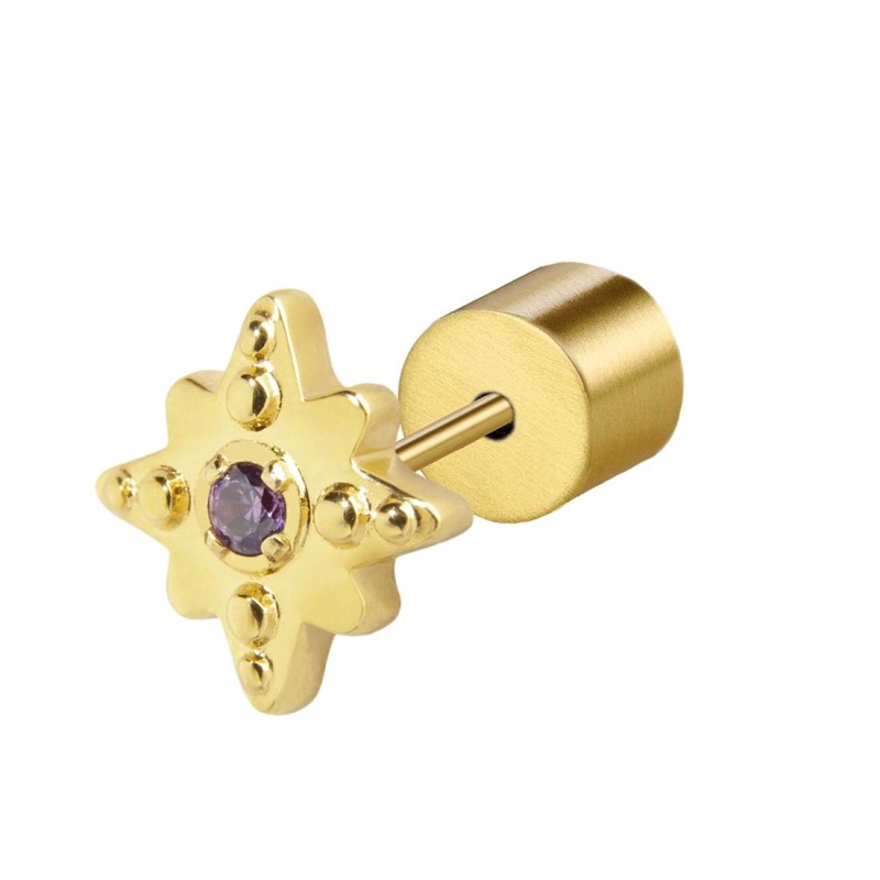 S.S. GOLD IP SINGLE EAR HEART WITH AMETHYST CZ STONE S.steel gold ip single earring with wind rose shape by stamping, size 7,50* S.S. GOLD IP SINGLE EAR HEART WITH AMETHYST CZ STONE S.steel gold ip single earring with wind rose shape by stamping, size 7,50*