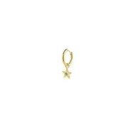 S.S. GOLD IP SINGLE ROUND EARRING WITH STAR PEND S.steel gold ip single round earring with pressure closure, 14,40 mm diameter,