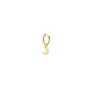 S.S.GOLD IP SINGLE ROUND EARRING WITH MOON PEND S.steel gold ip single round earring with pressure closure, 15,90 mm diameter, 2 S.S.GOLD IP SINGLE ROUND EARRING WITH MOON PEND S.steel gold ip single round earring with pressure closure, 15,90 mm diameter, 2