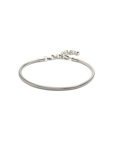 Cavigliera catena snake Cavigliera catena snake