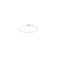 Cavigliere e charm chiave Cavigliere e charm chiave