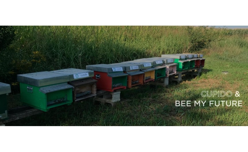 Marlù RicaricAmore - Missione Cupido a Taormina