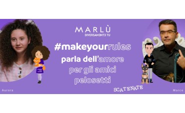 Make Your Rules - Amici Pelosetti Make Your Rules - Amici Pelosetti